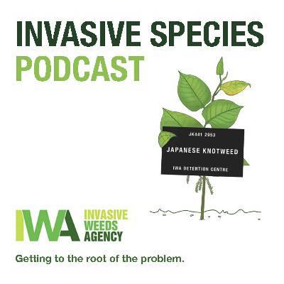 Episode 2- Invasive Species Podcast- Weeds, Lionfish & INNSA