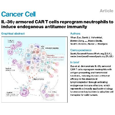 353-IL-36γ CAR T重塑中性粒细胞诱导抗肿瘤免疫 353-IL-36γ CAR T重塑中性粒细胞诱导抗肿瘤免疫
