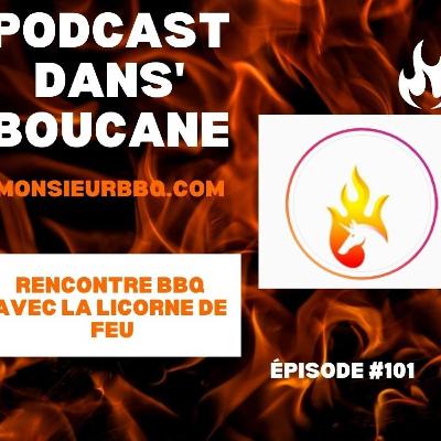 Entrevue avec La licorne de feu !