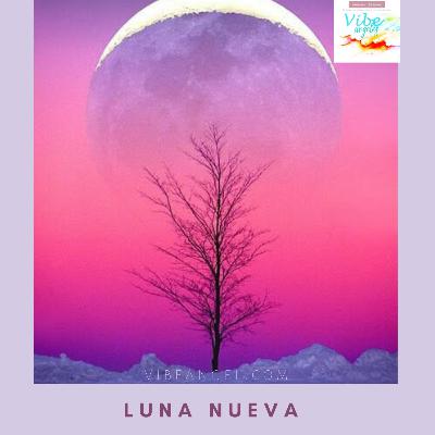 Luna nueva Luna nueva