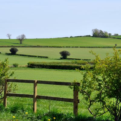 #27 – Jeremy Moody on the different land occupation arrangements of England and Wales #27 – Jeremy Moody on the different land occupation arrangements of England and Wales
