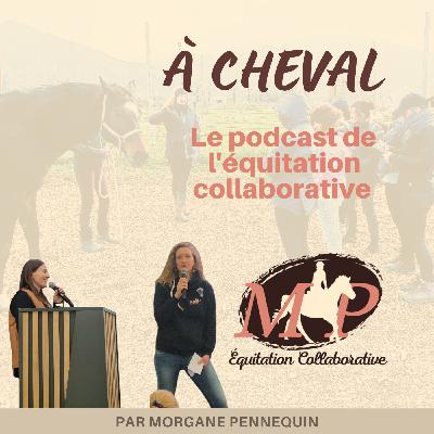 173. [Rediffusion de la conférence  du Jumping de Bordeaux] Observer au-délà de la bientraitance