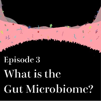 #3 What is the Gut Microbiome?