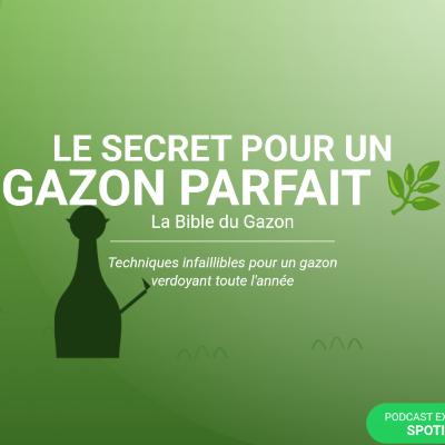 Gazon Parfait : Les Techniques Cachées des Pros pour un Jardin Verdoyant Gazon Parfait : Les Techniques Cachées des Pros pour un Jardin Verdoyant