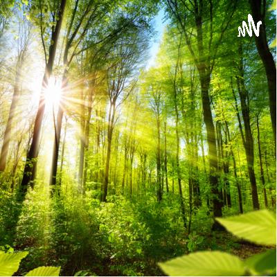 Wieder Eröffnung dieses Podcastes.