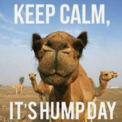 Just an average Wednesday Just an average Wednesday