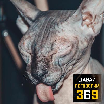 Мое первое знакомство с породой Донской сфинкс