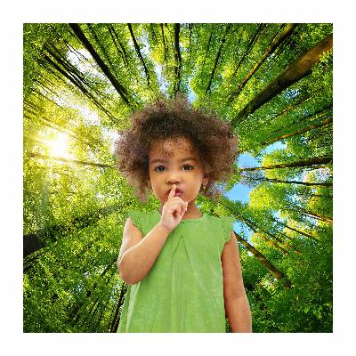 10 Hours Of Baby Shusher with Calm and Peaceful Afternoon Forest Birds 10 Hours Of Baby Shusher with Calm and Peaceful Afternoon Forest Birds