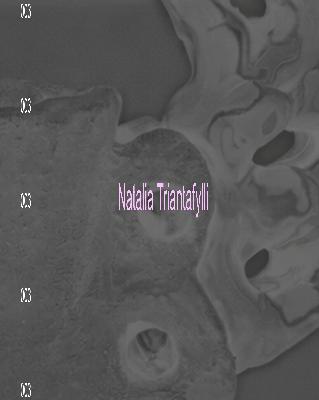 Process & New Materiality: Natalia Triantafylli Process & New Materiality: Natalia Triantafylli