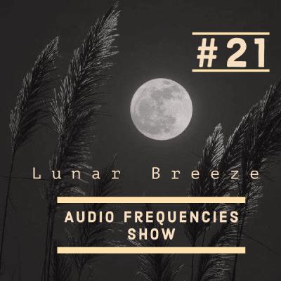 Audio Frequencies Show - Episode #21 [Mixed By Lunar Breeze]