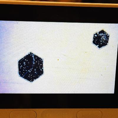 New to Morgellons