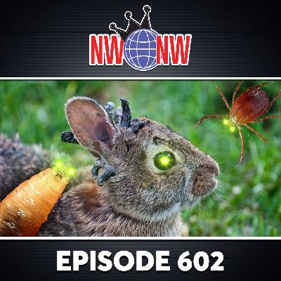 Interview 1970 - Rabbits With Tentacles Tick All The Boxes (NWNW #602)