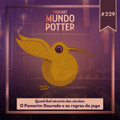 Mundo Potter #229 - Quadribol através dos séculos: O Pomorim Dourado e as regras do jogo