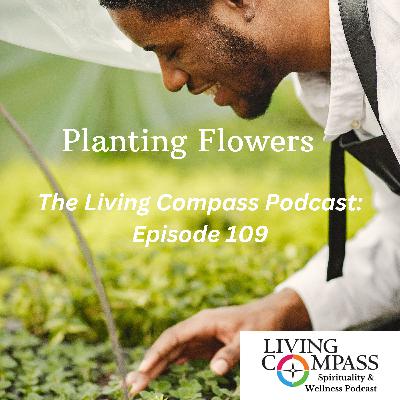 "Planting Flowers," February 10, 2025