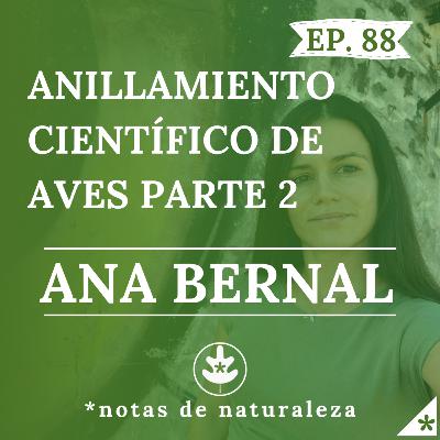 Anillamiento científico de Aves Parte 2. Charla con Ana Bernal. #88 Anillamiento científico de Aves Parte 2. Charla con Ana Bernal. #88