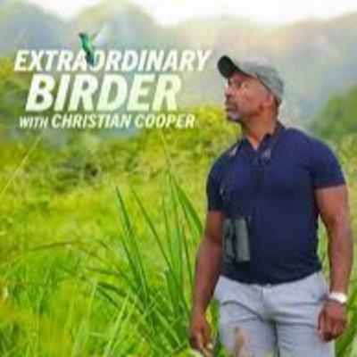 Extraordinary Birder, Episodes 4-6 Extraordinary Birder, Episodes 4-6