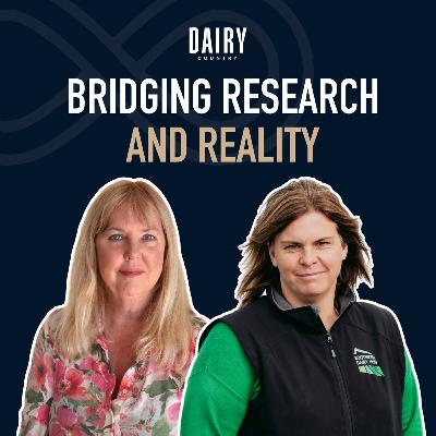 Episode 75 - Bridging research and reality