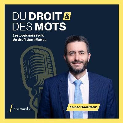 Contrôle et contentieux fiscal : les clés pour réagir efficacement !