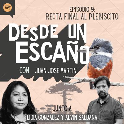 E9: Recta final al plebiscito - con Lidia González & Alvin Saldaña E9: Recta final al plebiscito - con Lidia González & Alvin Saldaña