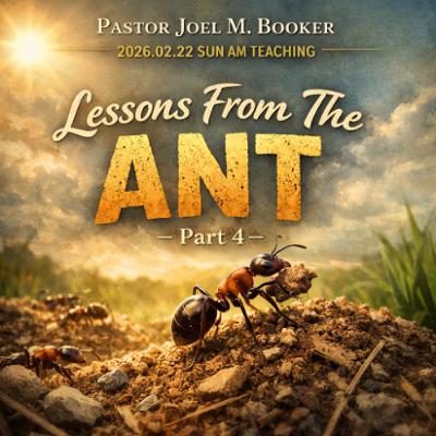 Pastor Joel M. Booker - 2026.02.22 SUN AM TEACHING - Lessons From The Ant - Part 4