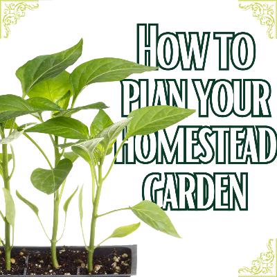 Easy Garden Planning: Essential Tips for Beginners & Small Spaces Easy Garden Planning: Essential Tips for Beginners & Small Spaces