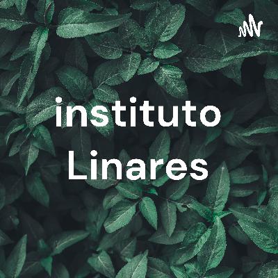 INSTITUTO LINARES - MARCO ANTONIO MUÑOZ VERA