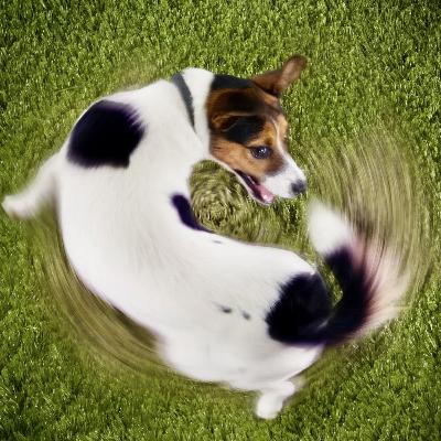 El mensaje detrás de las conductas repetitivas El mensaje detrás de las conductas repetitivas