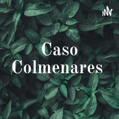Caso colmenares
