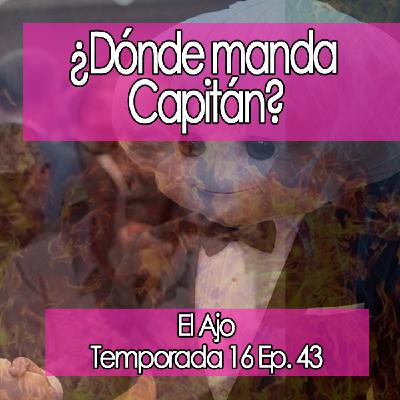 ElAjo ¿DÓNDE MANDA EL CAPITÁN?  ‍✈️  [16x43]