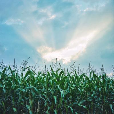 #02: Inmate Feedback