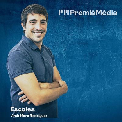 Escoles, dia de la música 2025 11 26