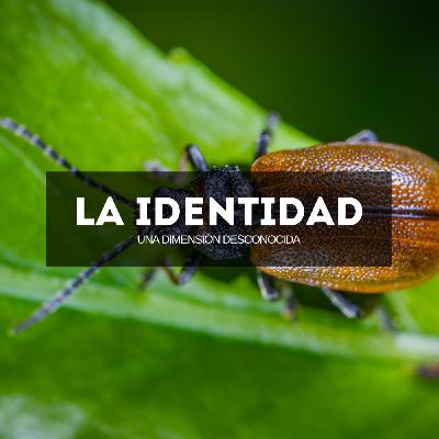 Científicos descubren una dimensión desconocida: LA IDENTIDAD del ser humano