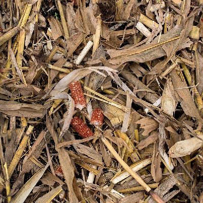 Programa nº 84. FUSTARISE. "Revolucionando la Sostenibilidad: Transformando Residuos Agrícolas en Innovación Verde"