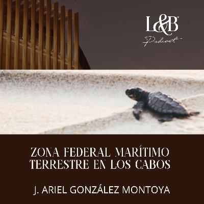 ZONA MARITIMO TERRESTRE EN BAJA CALIFORNIA SUR