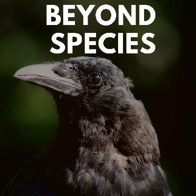 Nonhuman Animal Care is Activism