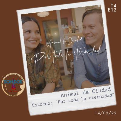 Estreno: "Por toda la eternidad" de Animal de Ciudad | Ep.12 | T4