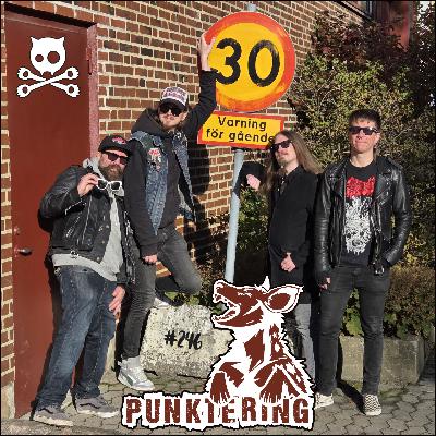246. Punktering