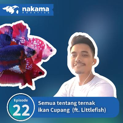 Eps 22 : "Dulu Budidaya Ikan Cupang di Kamar, Sekarang Farmnya Gede Banget!!" (ft. Littlefish) Eps 22 : "Dulu Budidaya Ikan Cupang di Kamar, Sekarang Farmnya Gede Banget!!" (ft. Littlefish)