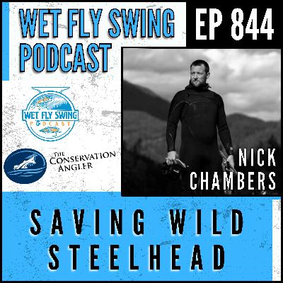 844 | Saving Wild Steelhead with Nick Chambers of The Conservation Angler 844 | Saving Wild Steelhead with Nick Chambers of The Conservation Angler