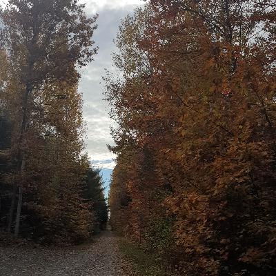 آیا میشه در بدترین شرایط زندگی هم کنترل زندگی رو بدست بگیریم؟ راه فهمیدن درس نهفته در یک لوپ!