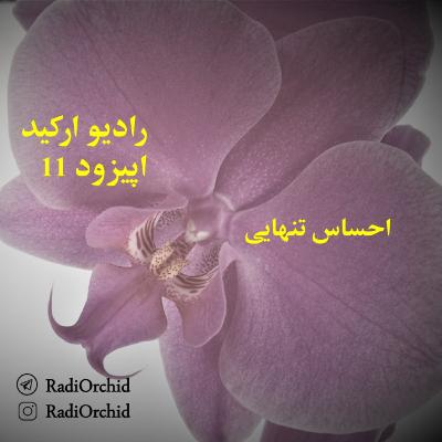 اپیزود 11: احساس تنهایی