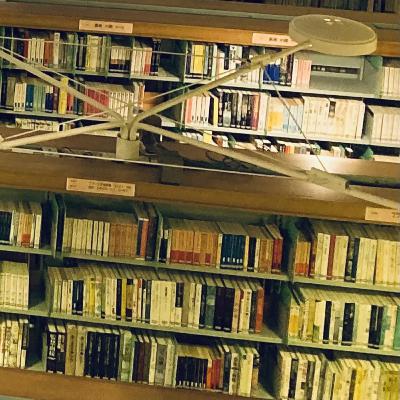 【番外編】#16 旅先で行く図書館【自然の推しを語るラジオ】