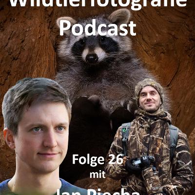 Wildtierfotografie Podcast - Folge #26 mit Jan Piecha