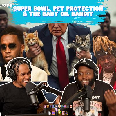 Super Bowl, Pet Protection & The Baby Oil Bandit | Surrounded By Idiots #086 Super Bowl, Pet Protection & The Baby Oil Bandit | Surrounded By Idiots #086