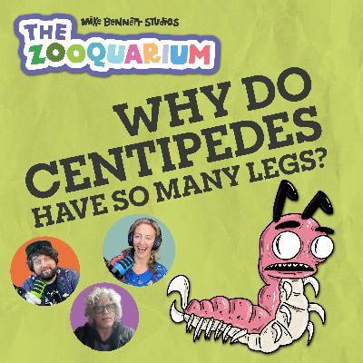 Why Do Centipedes Have So Many Legs?