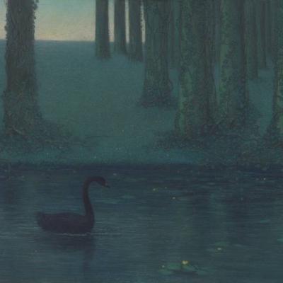 Le cygne noir Le cygne noir