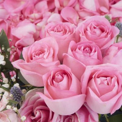 Evolución del drama 1 parte