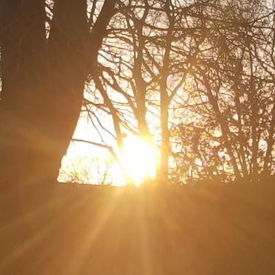 Part2#VitaminD#wintersunnyday feeling#27th feb2021