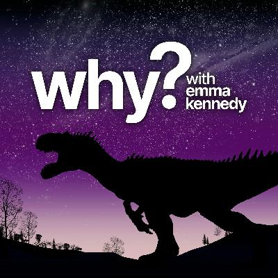 Could we make a real Jurassic Park?