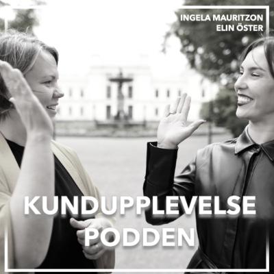 Ingela Mauritzon & Elin Öster, Danji - Storyn om Danji och framtidens kundupplevelsehantering